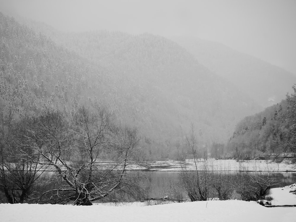 leafless trees on snow covered ground near body of water