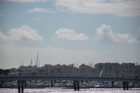 A coastal scene featuring a busy marina filled with numerous sailboats and yachts, their masts towering above. In the background, a line of buildings forms a horizon under a partly cloudy sky. A bridge spans across the foreground, adding an architectural element to the seaside atmosphere.