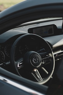 black mercedes benz steering wheel