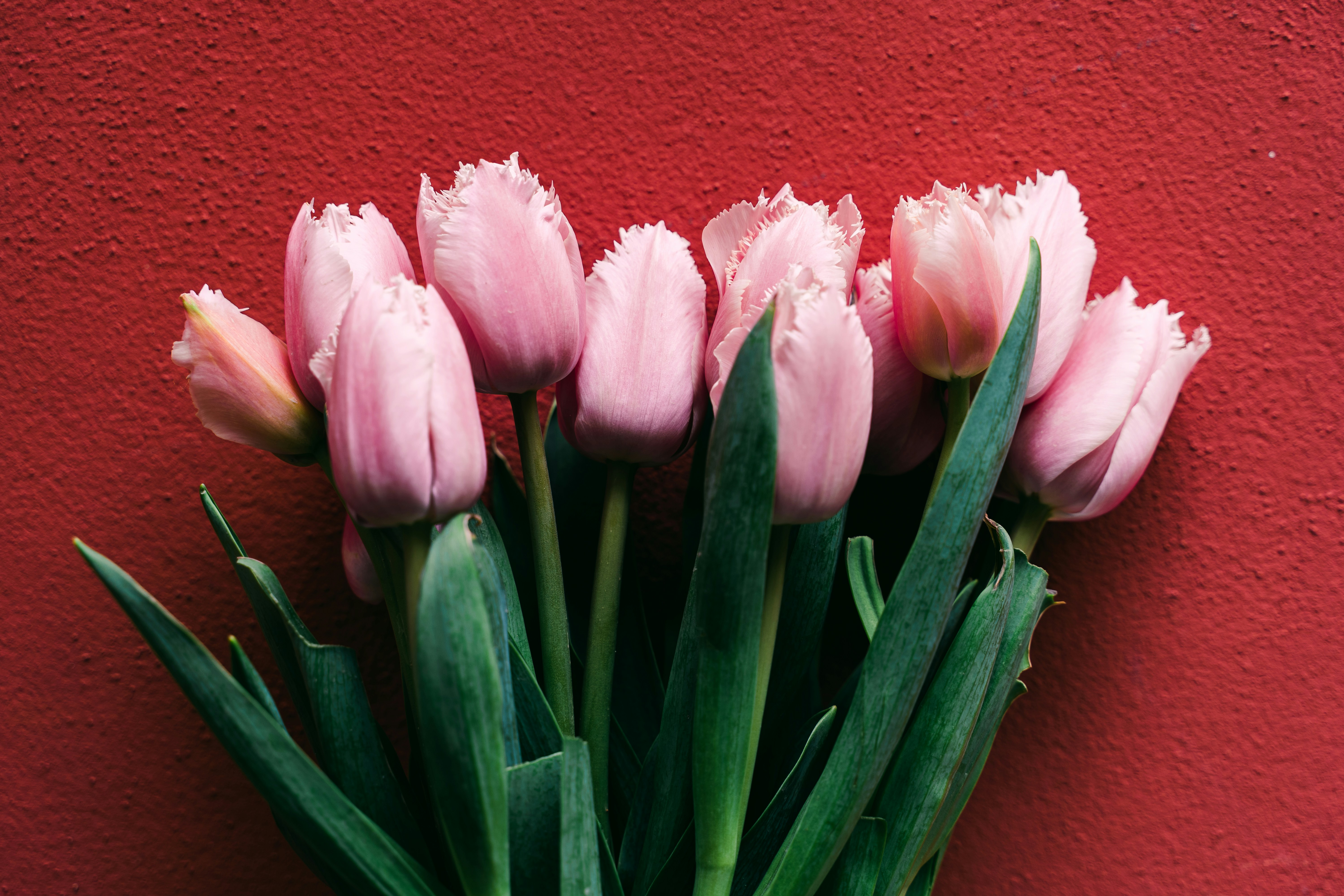 Photo by gabiontheroad