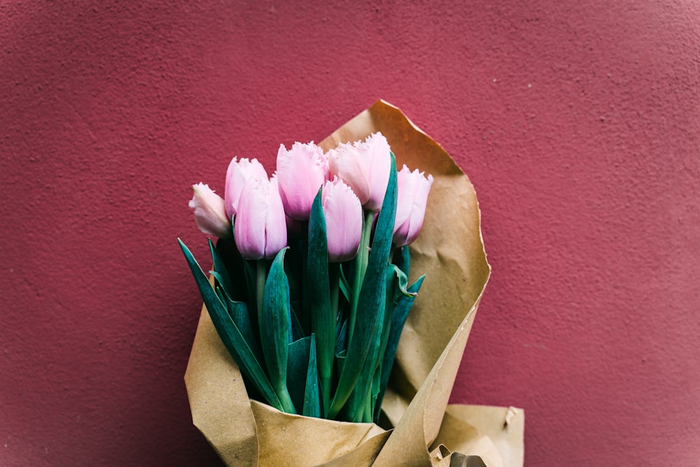 pink tulips in brown paper bag