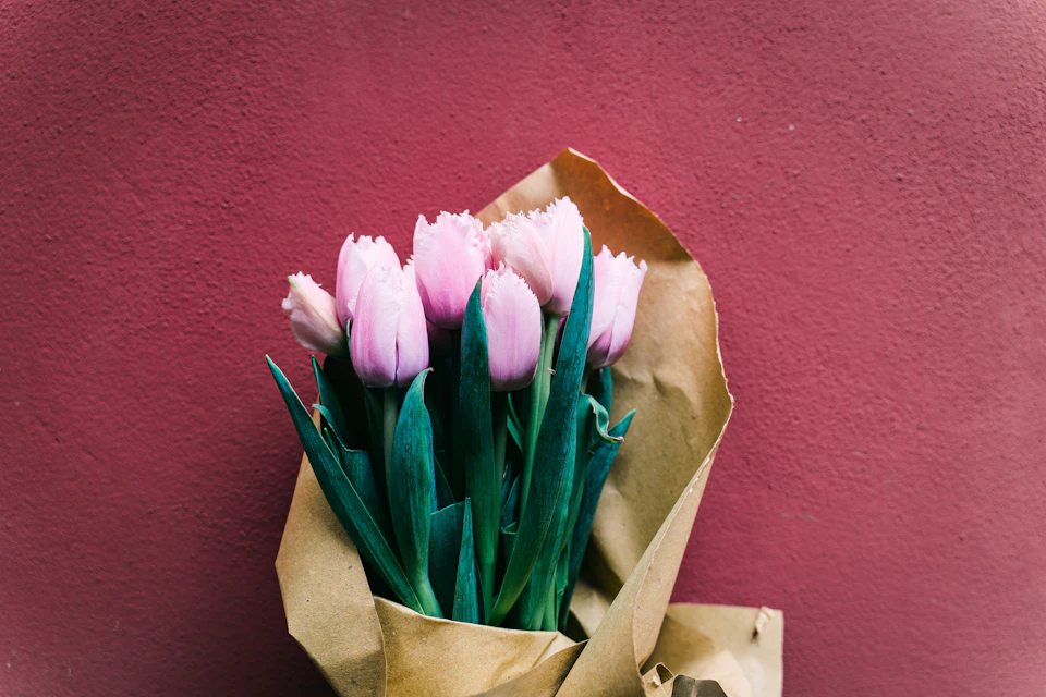 Pink tulips in full bloom face right, surrounded by brown paper bag on red wall