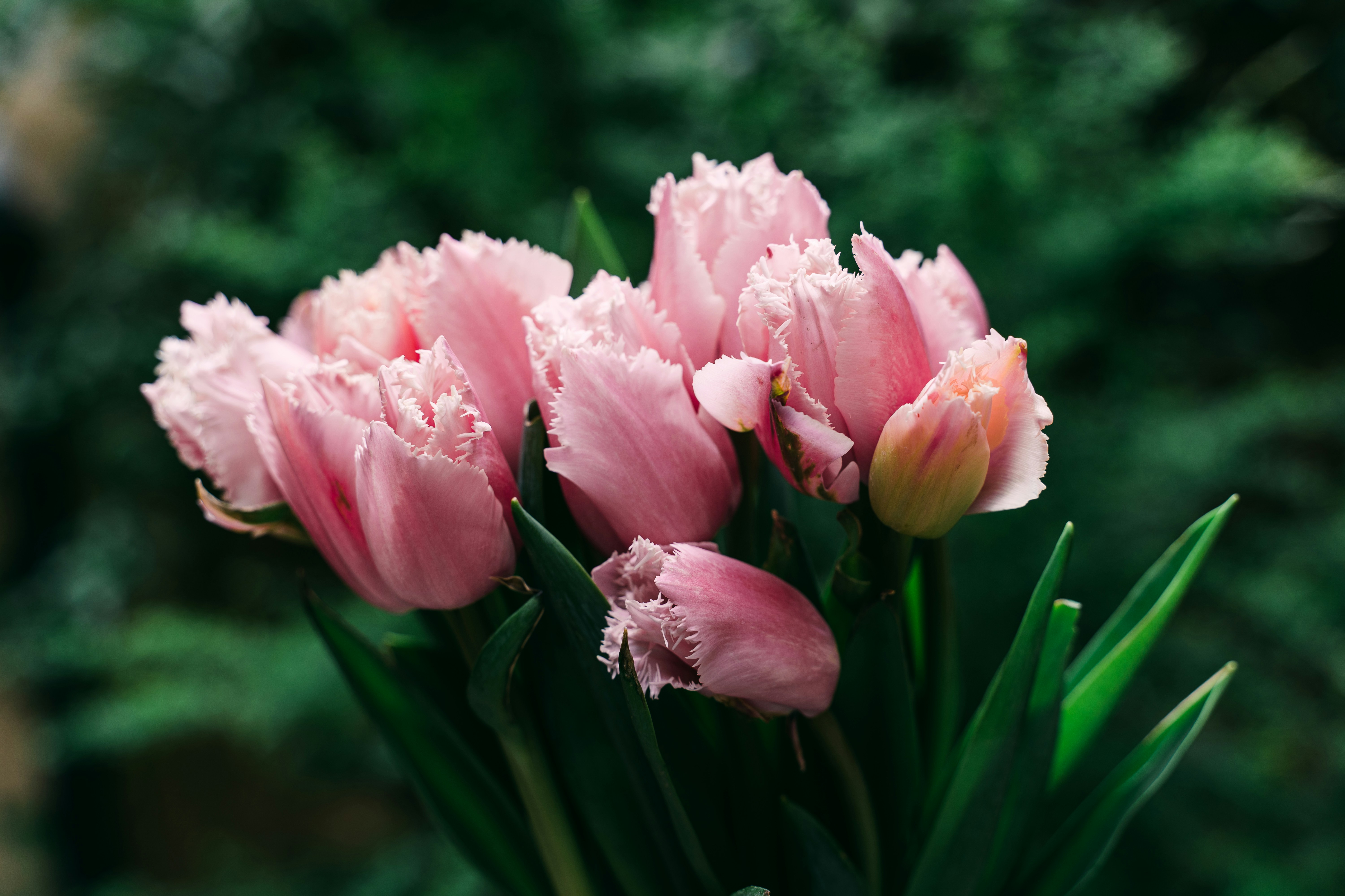 Photo by gabiontheroad