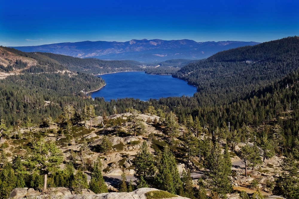 green trees near lake under blue sky during daytime