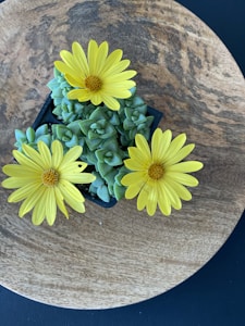 Tropický flower box