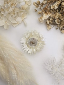A variety of dried flowers and plants arranged aesthetically against a white background. The composition includes delicate white hydrangea petals, a spiky textured flower, wispy white pampas grass, and small clusters of dried stems.