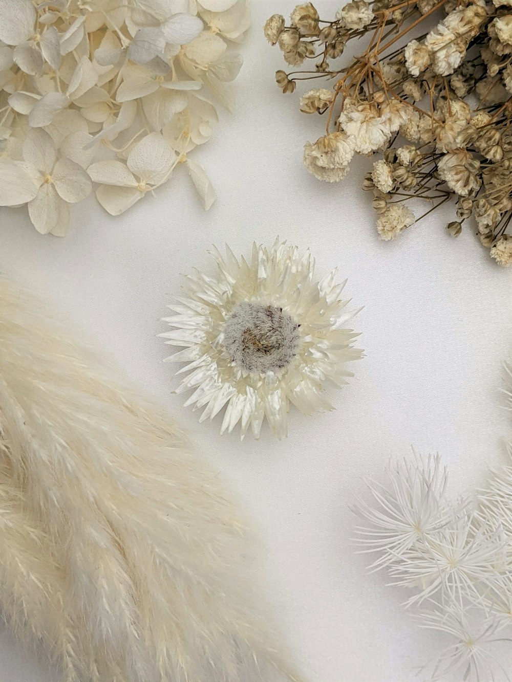 white dandelion flower on white textile
