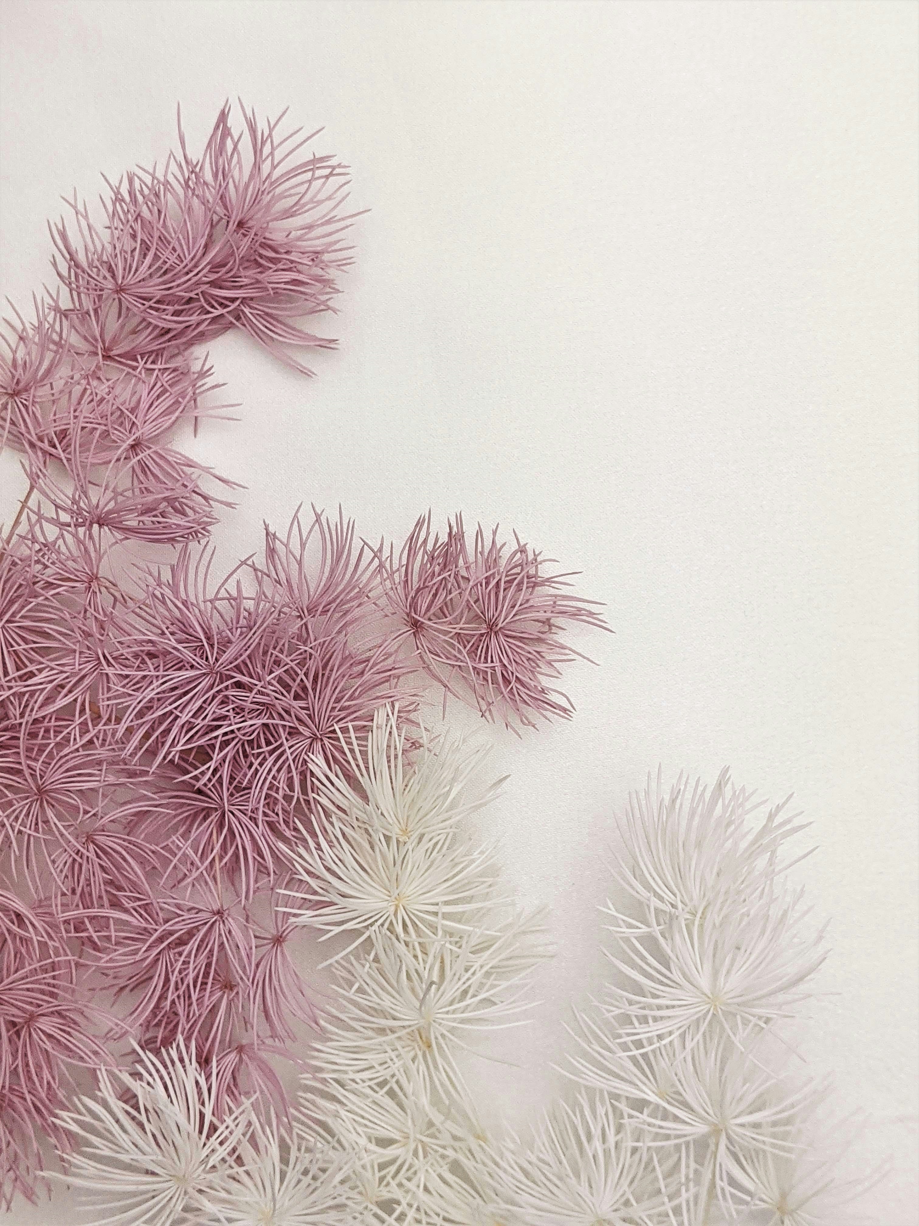 Photo by susan_wilkinson