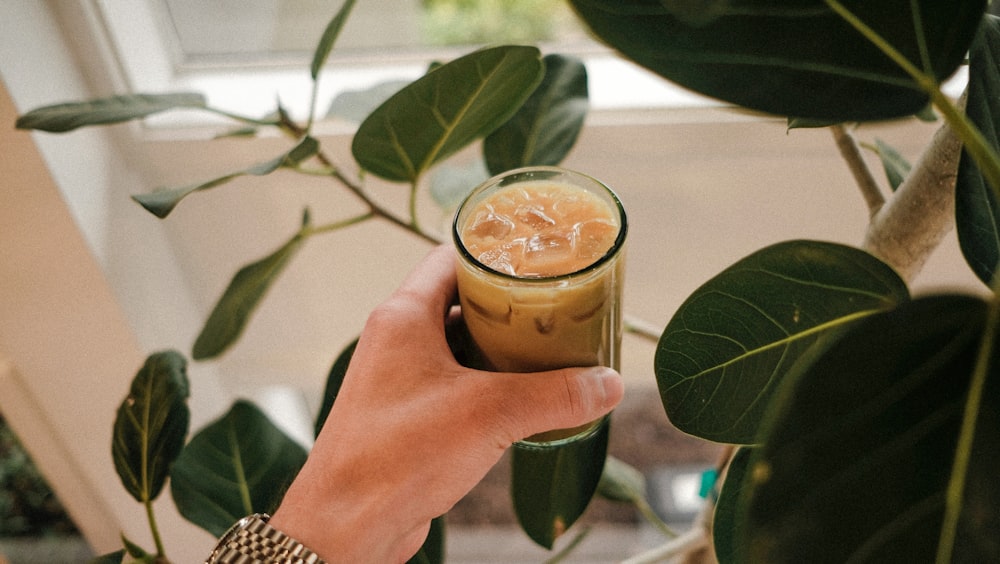 person holding clear drinking glass with brown liquid