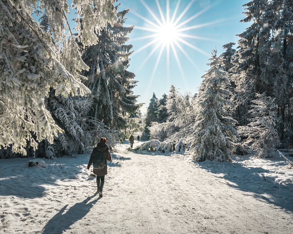 Person in schwarzer Jacke und schwarzem Rucksack geht tagsüber auf schneebedecktem Boden in der Nähe von Bäumen