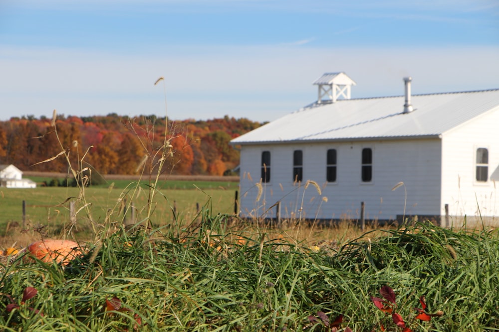 white and brown house on green grass field during daytime