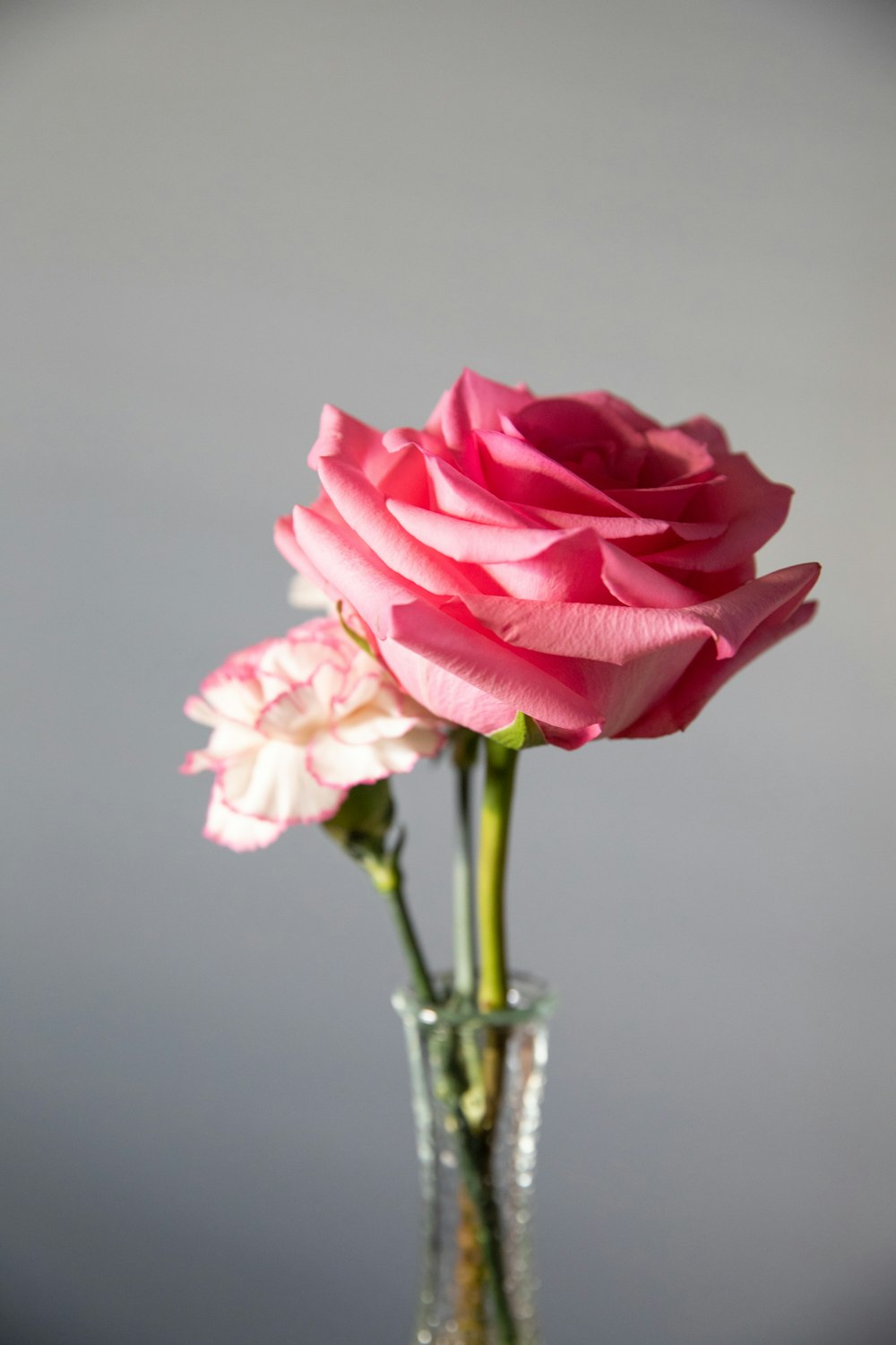 pink rose in clear glass vase