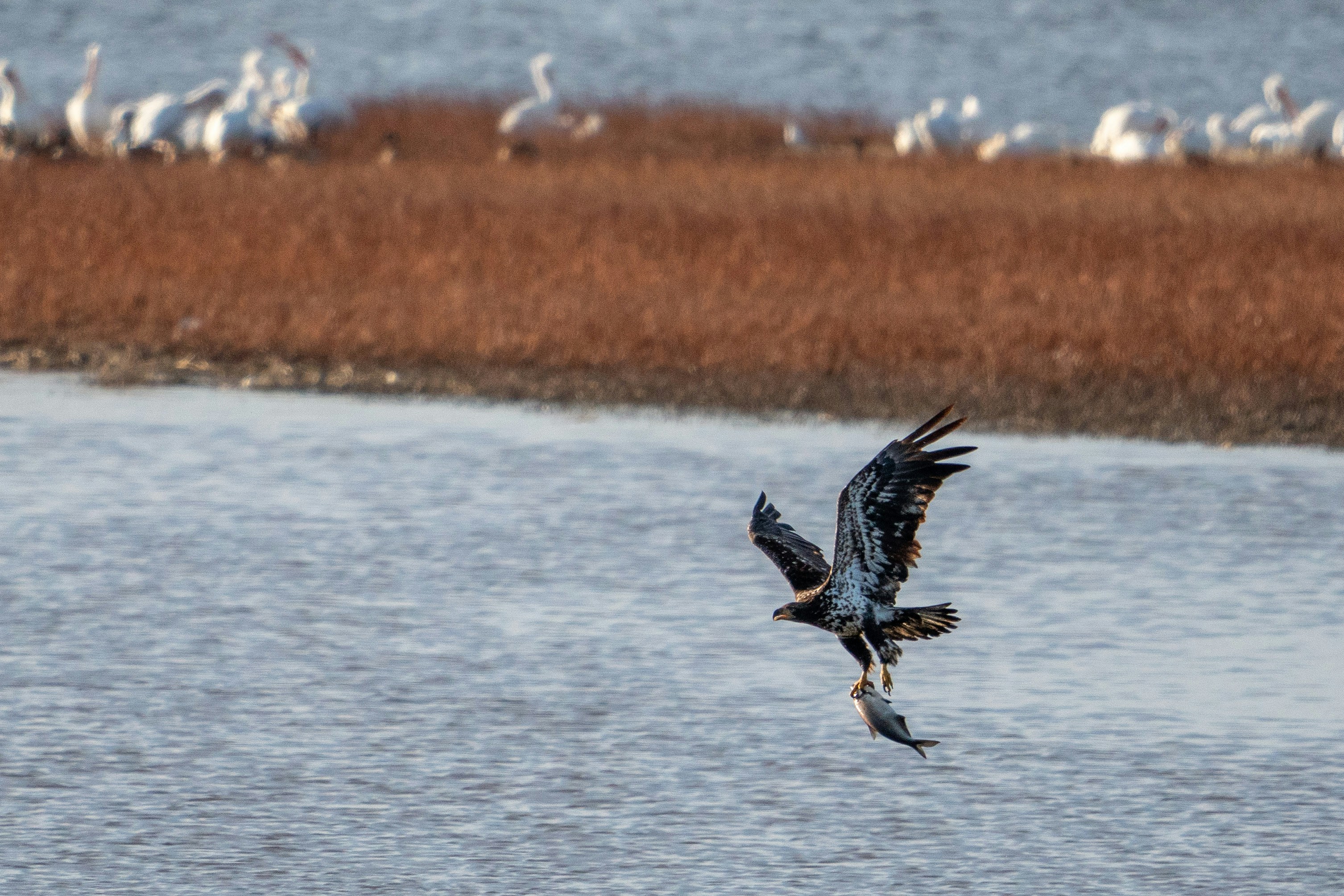 Photo by itworkonline