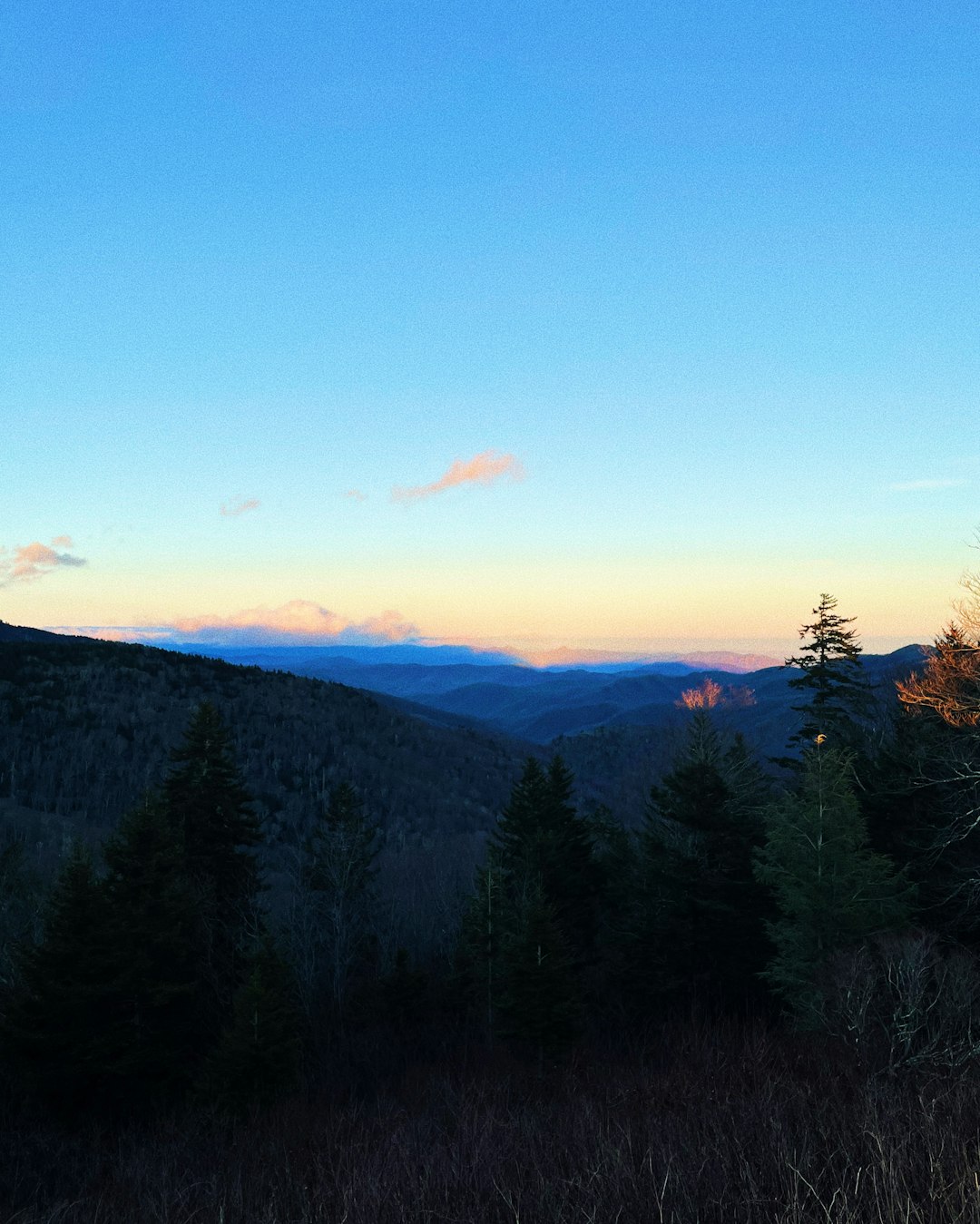 green trees on mountain under blue sky during daytime