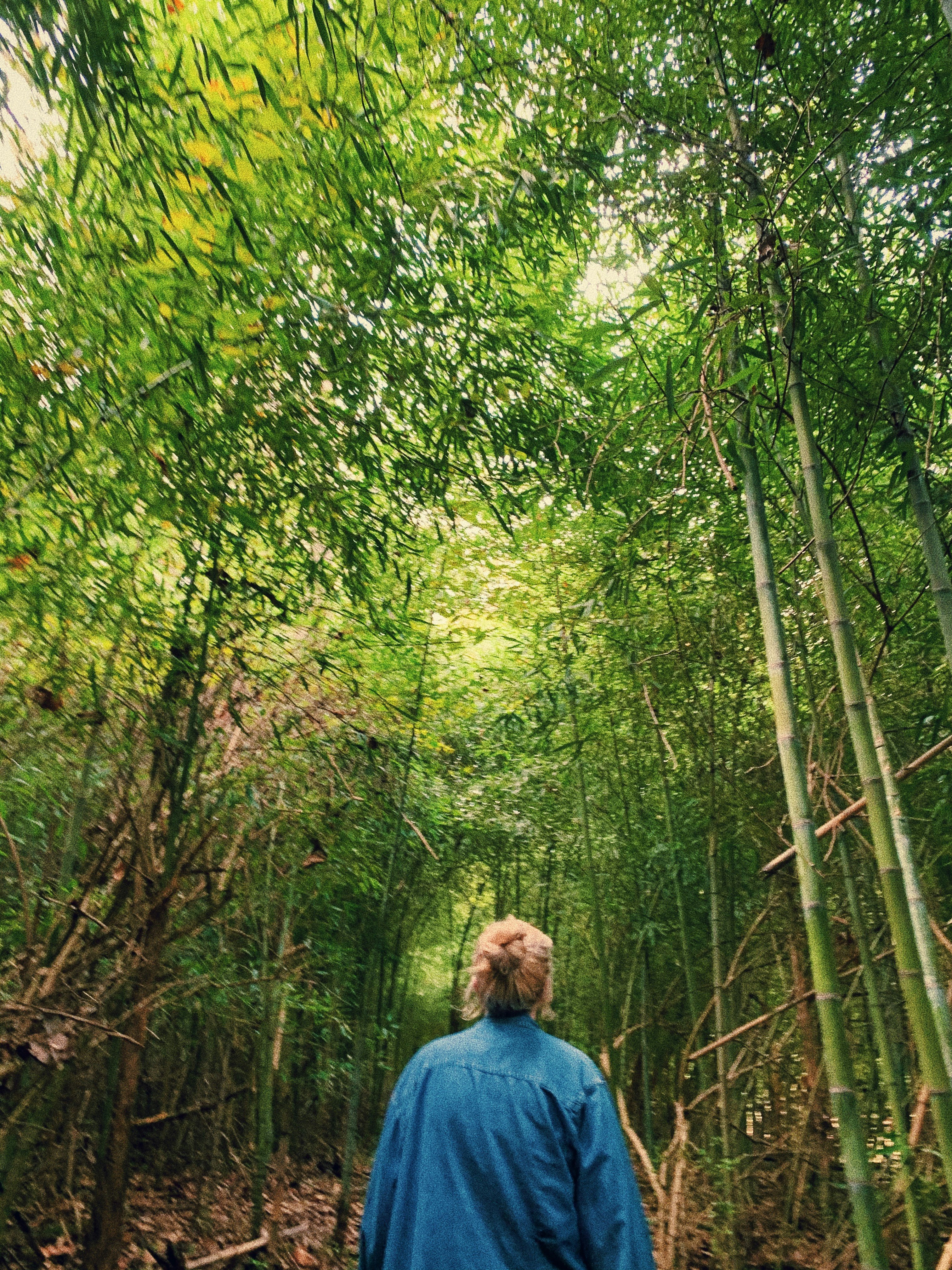 woman in blue jacket standing in the middle of green trees during daytime