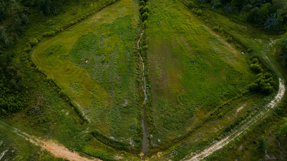 green moss on brown soil