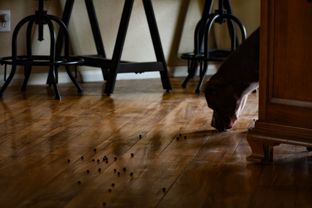 black and gray chair on brown wooden floor