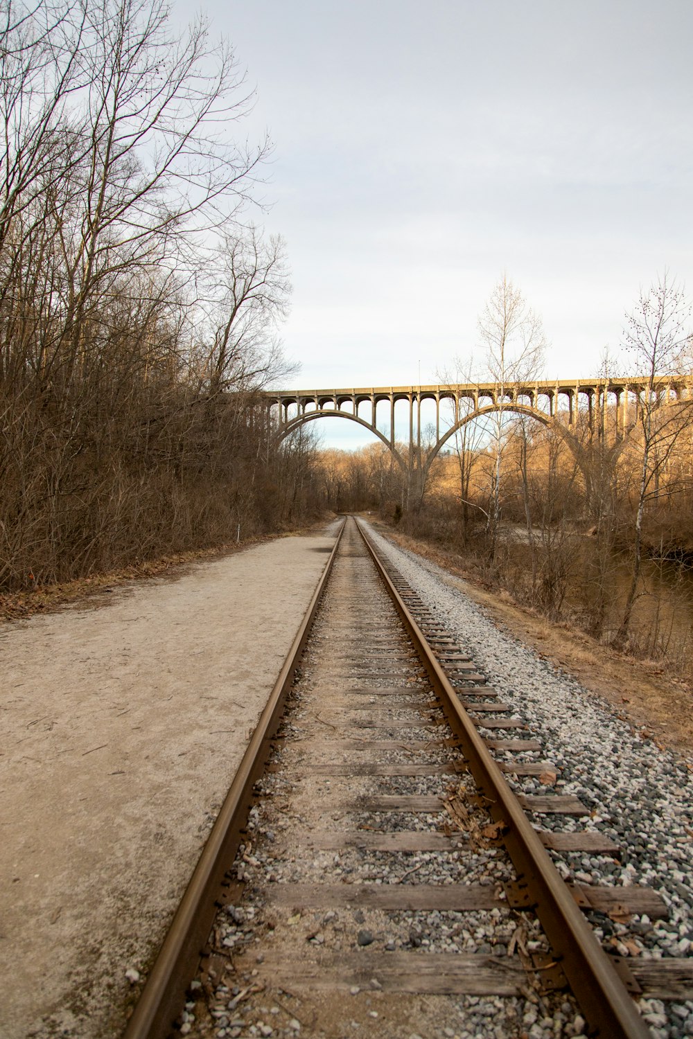 brown train rail near bare trees during daytime
