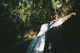 A serene waterfall cascading through lush green forest, sunlight filtering through the leaves.