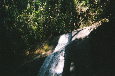 A serene waterfall cascading through lush green forest, sunlight filtering through the leaves.