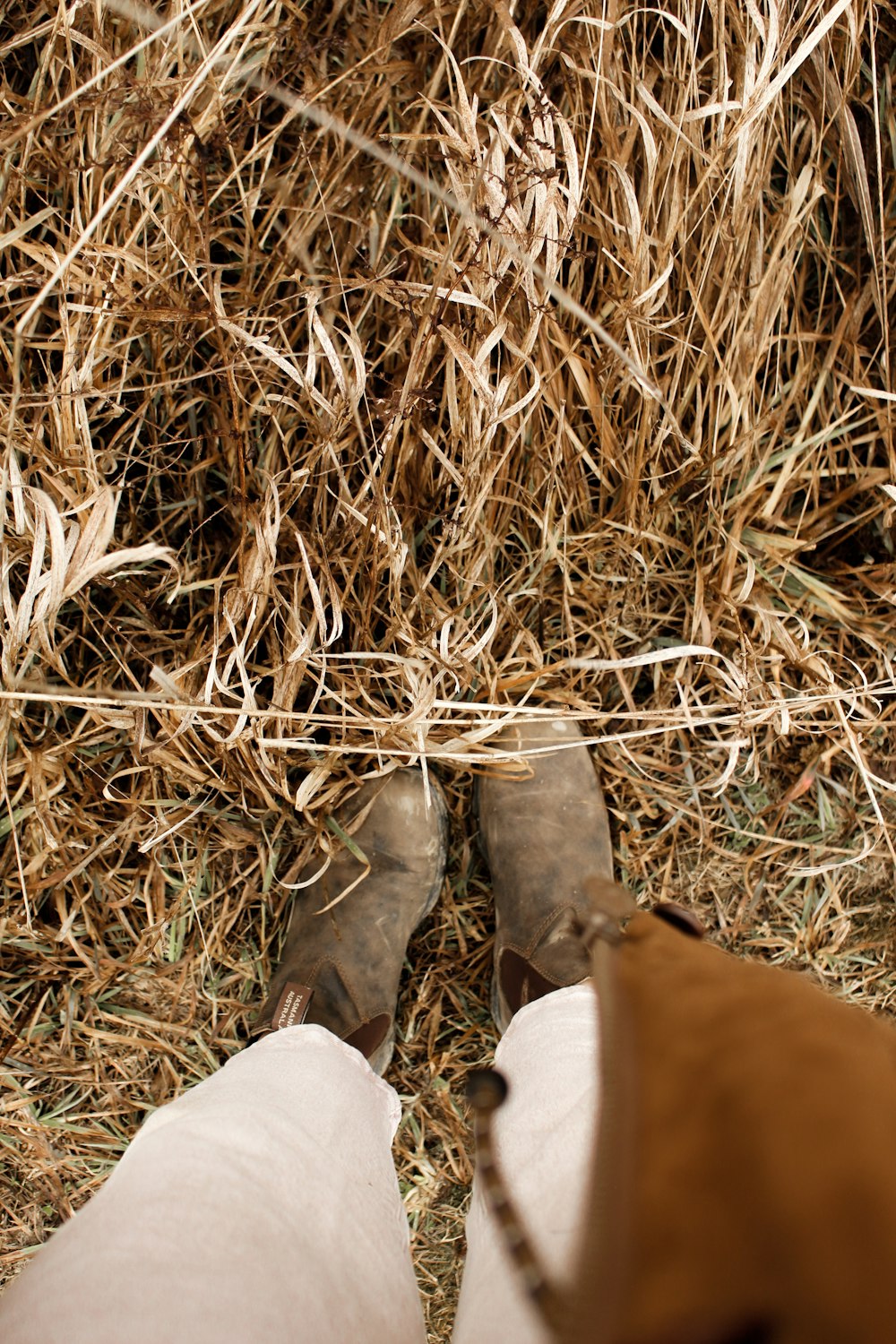 person in white pants and gray boots standing on brown dried grass