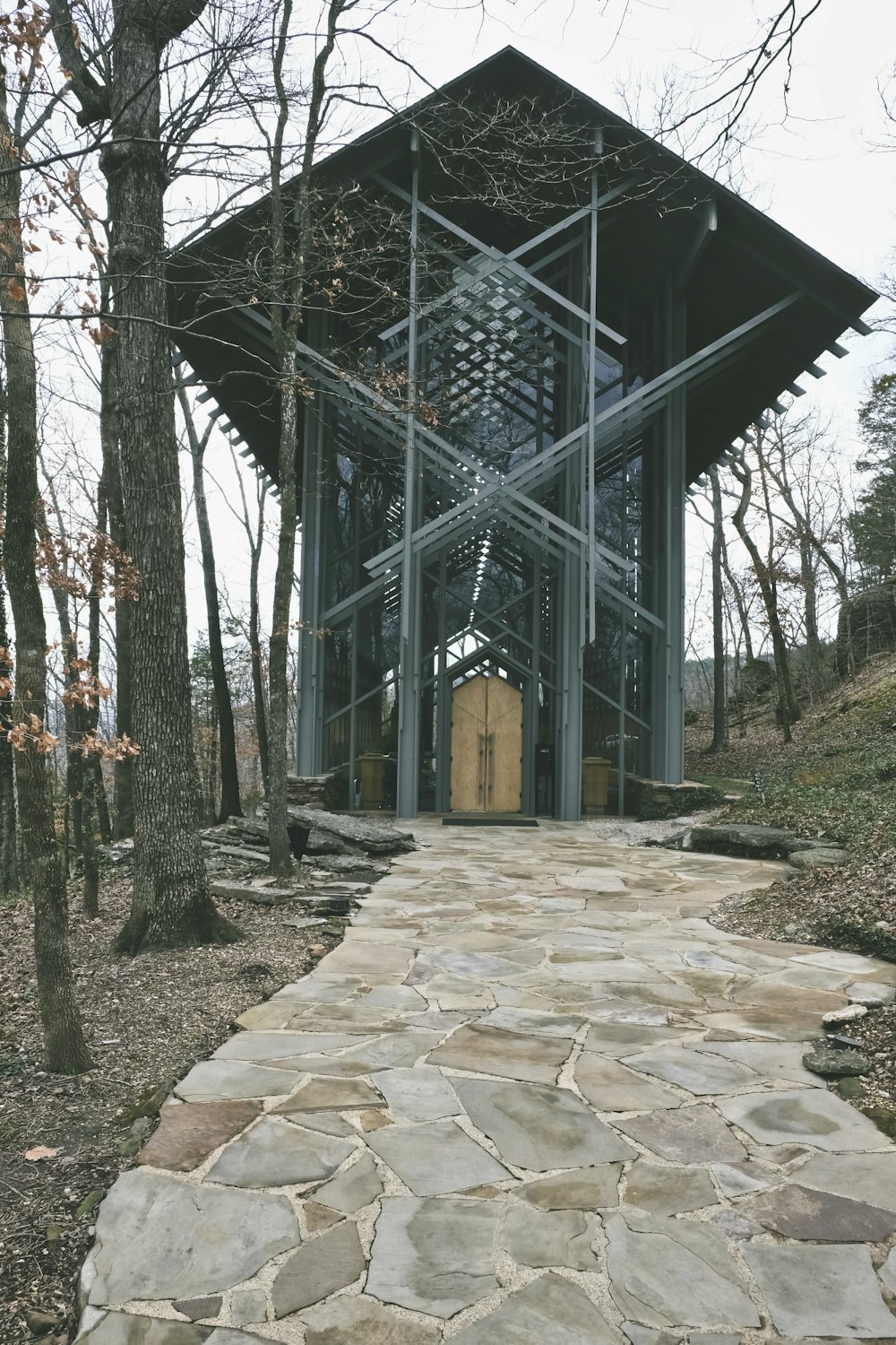 gray concrete pathway between trees during daytime