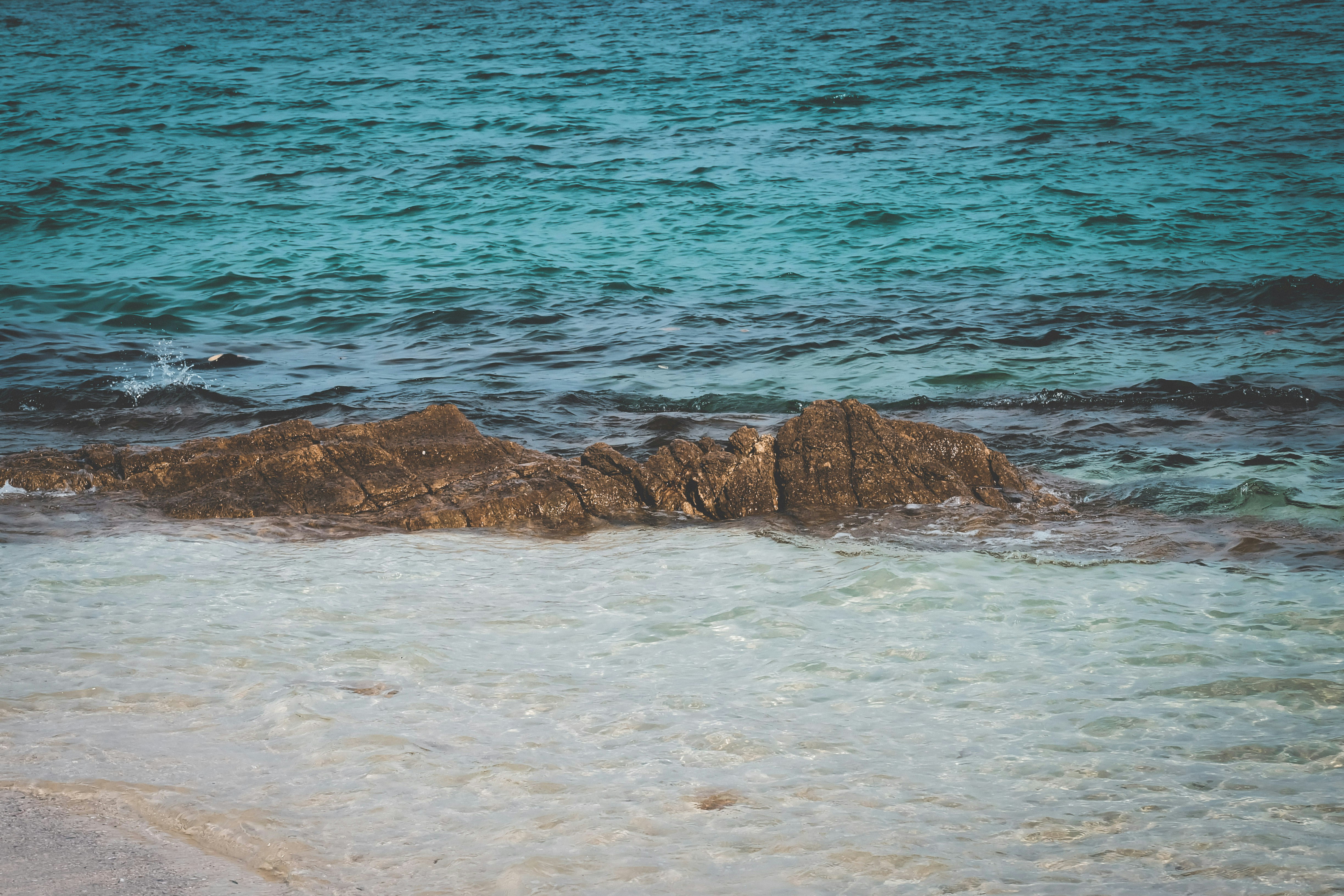 Photo by thewonderalice