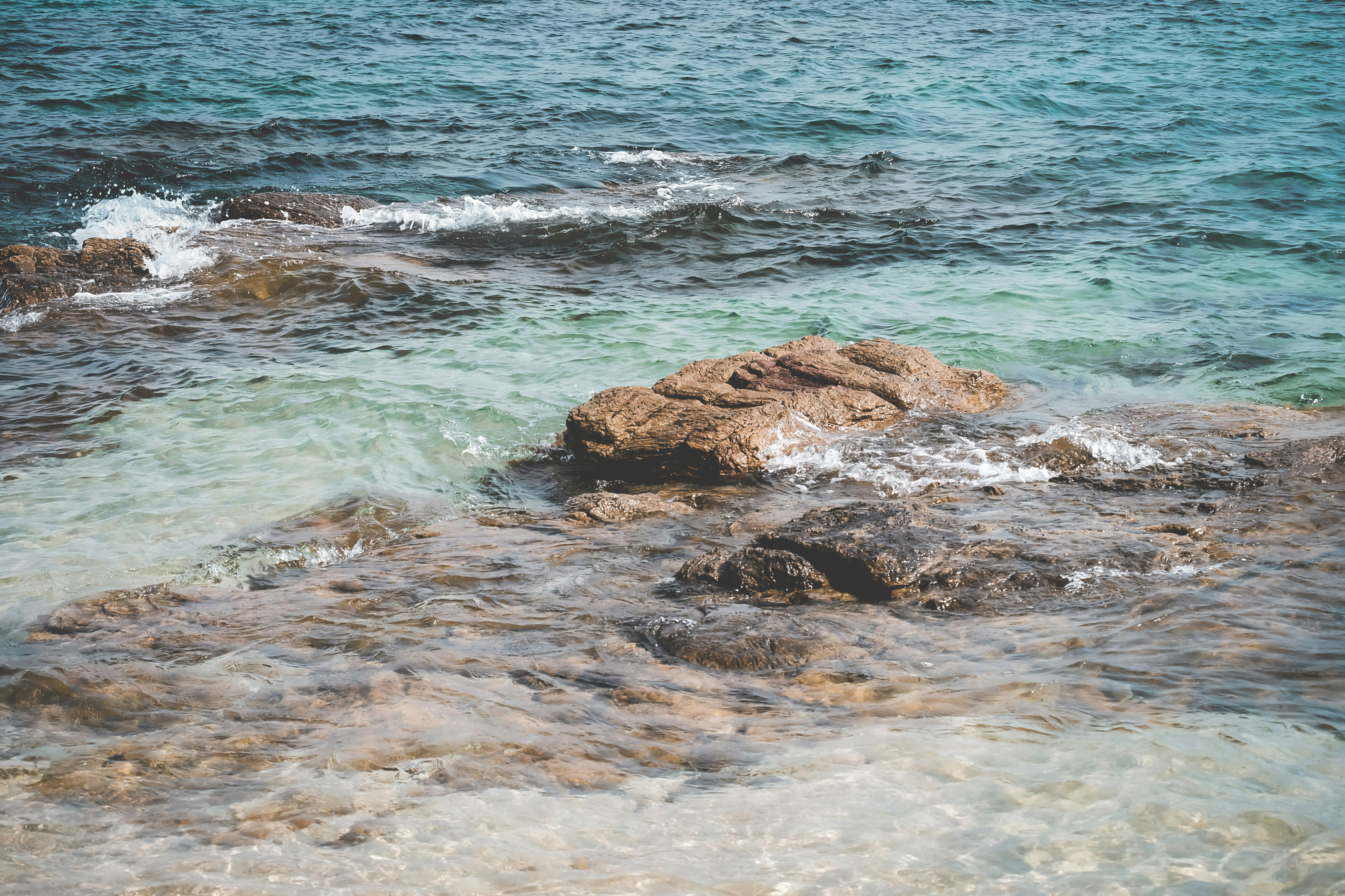 Photo by thewonderalice