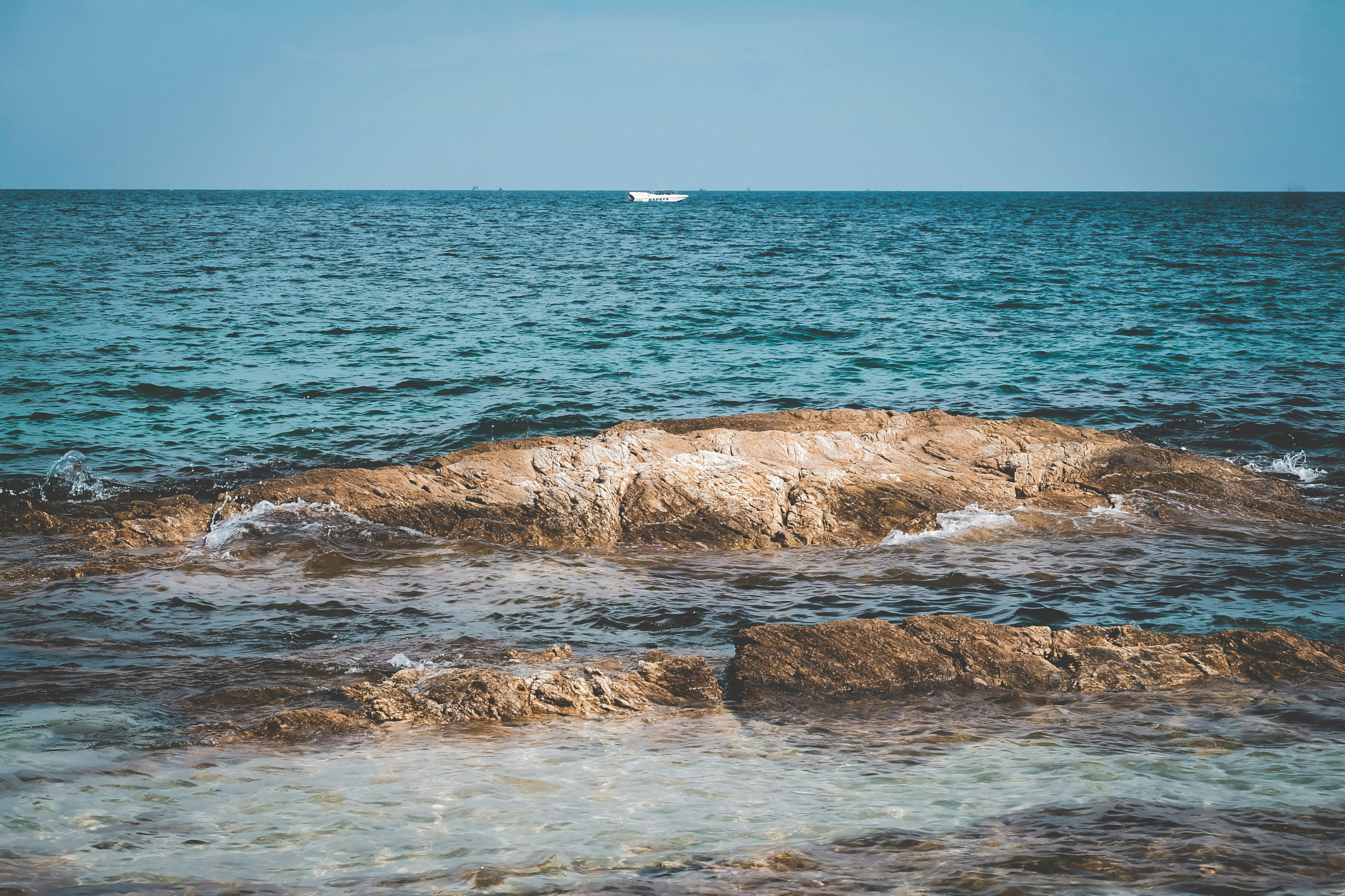 Photo by thewonderalice