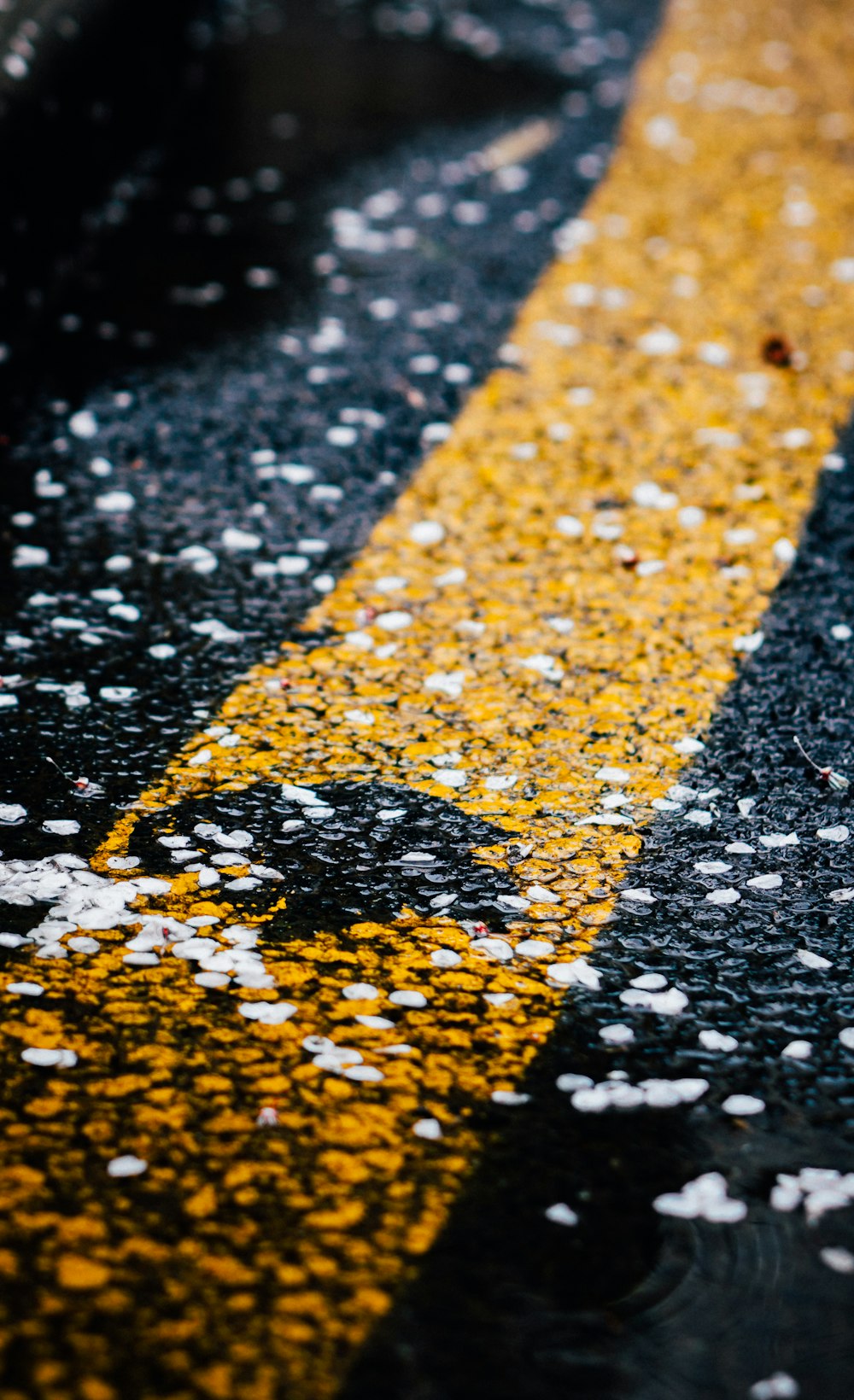 yellow and black concrete road