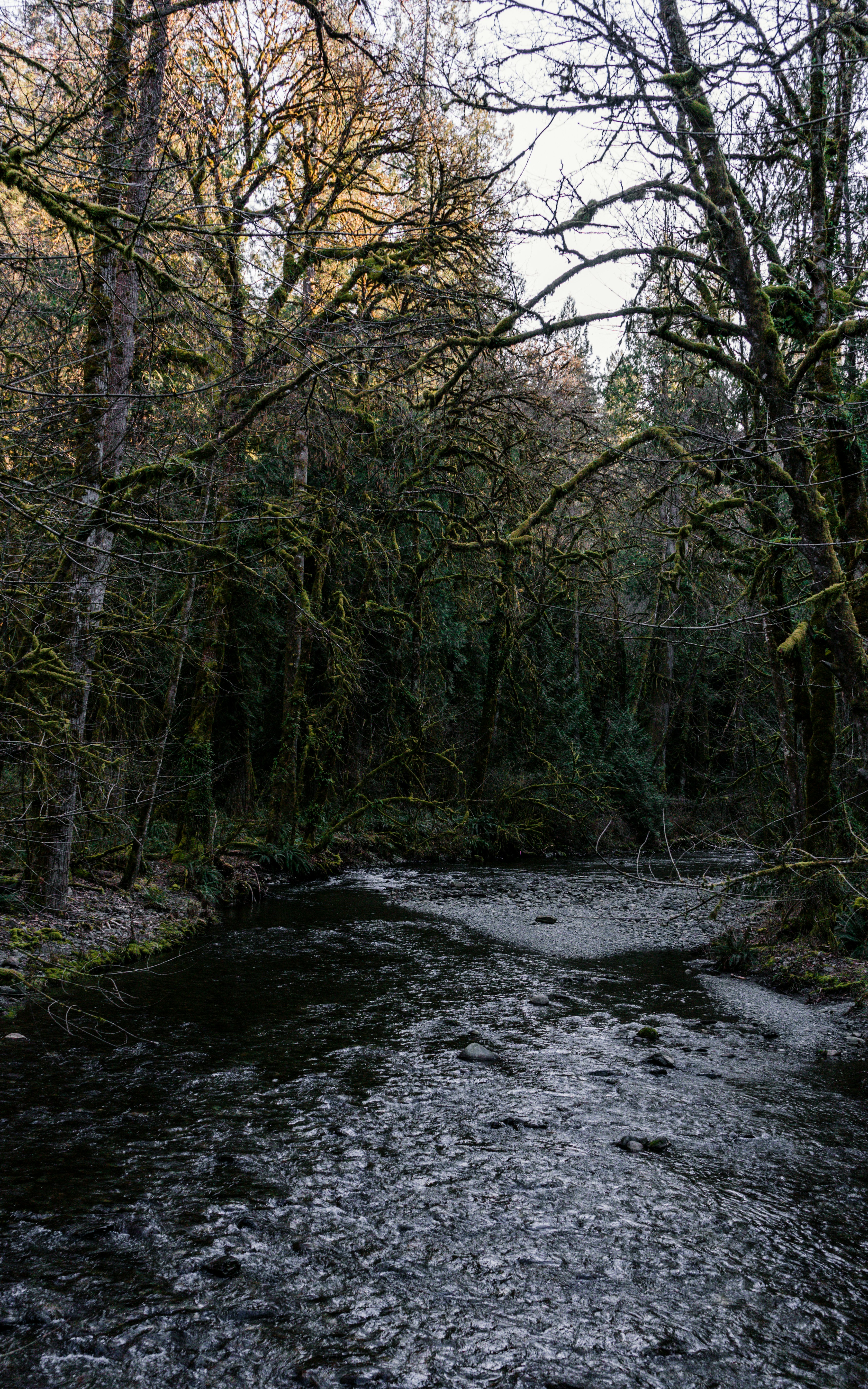 Photo by colefreeman