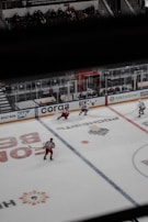 A hockey game in an indoor arena with players in red and white uniforms skating on the ice. Several spectators are seated in the stands above the rink, and the benches are visible along the boards. The ice is marked with blue lines, logos, and advertisements.