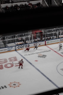 A hockey game in an indoor arena with players in red and white uniforms skating on the ice. Several spectators are seated in the stands above the rink, and the benches are visible along the boards. The ice is marked with blue lines, logos, and advertisements.