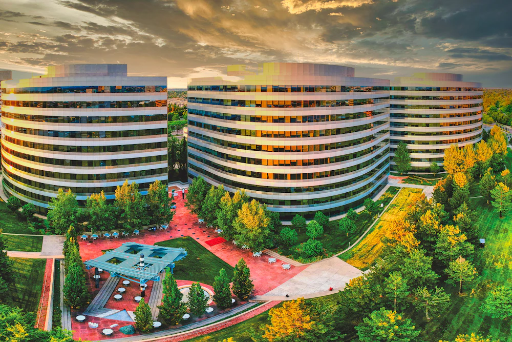 Modern office building with large windows surrounded by trees