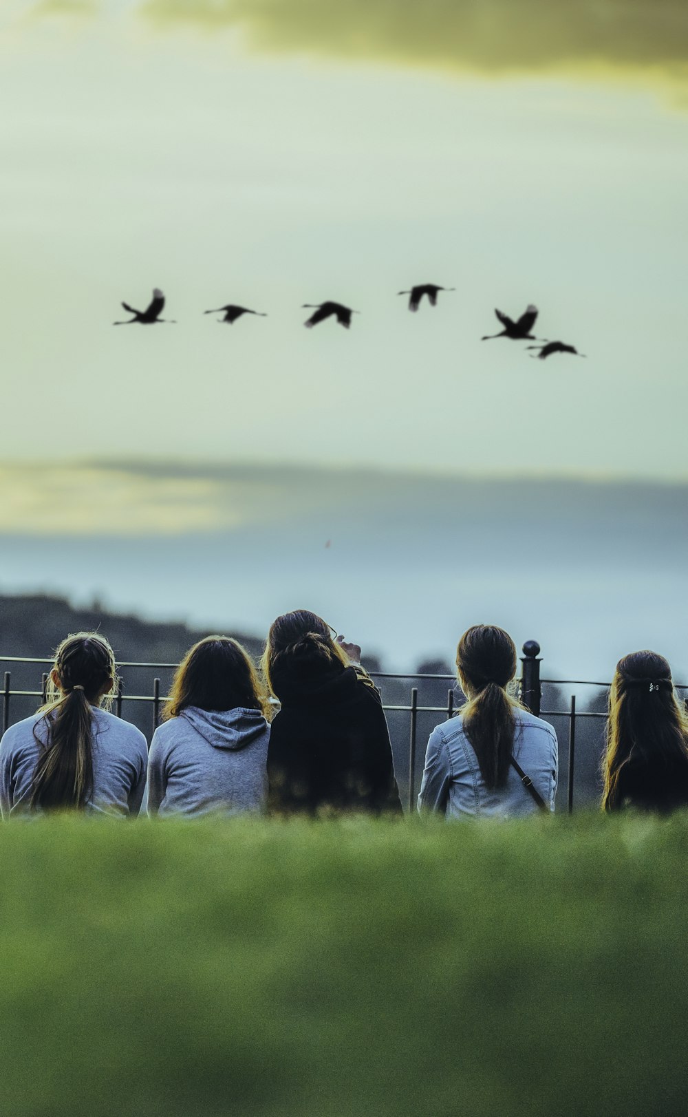 woman in blue long sleeve shirt looking at birds