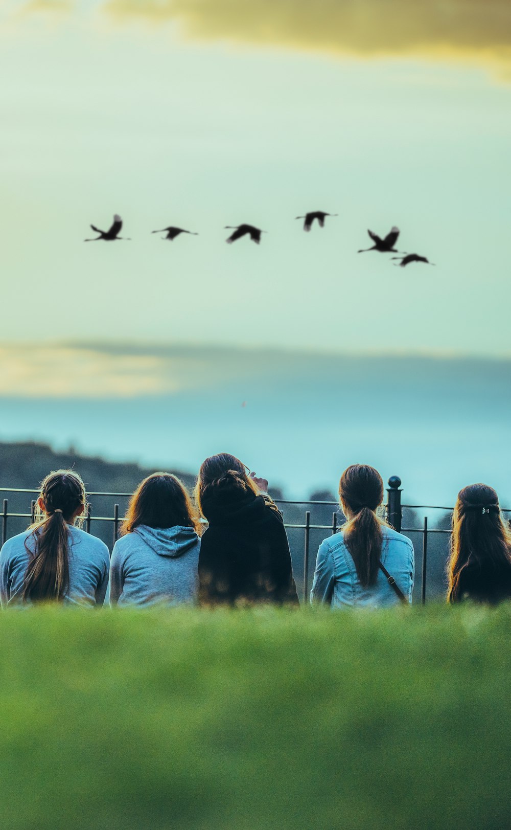 woman in blue long sleeve shirt looking at birds