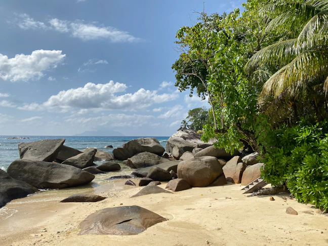 11-Day Seychelles Family Itinerary: Relaxed & Kid-Friendly