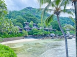 A tropical beachfront scene with palm trees, lush green vegetation, and multiple wooden cottages nestled amongst the greenery. The foreground features a sandy beach with gentle waves washing onto the shore. Large boulders are scattered along the coastline, and a hillside covered in dense foliage rises in the background.