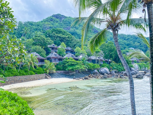 A tropical beachfront scene with palm trees, lush green vegetation, and multiple wooden cottages nestled amongst the greenery. The foreground features a sandy beach with gentle waves washing onto the shore. Large boulders are scattered along the coastline, and a hillside covered in dense foliage rises in the background.