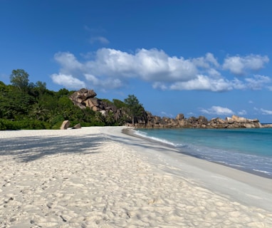 white sand beach with green trees under blue sky and white clouds during daytime