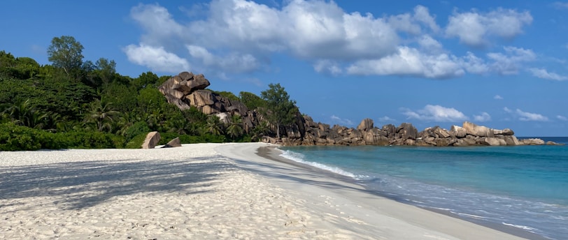 white sand beach with green trees under blue sky and white clouds during daytime