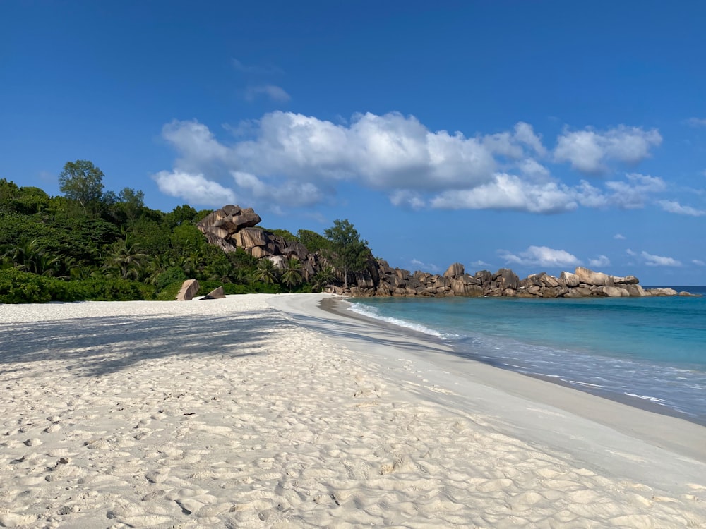 white sand beach with green trees under blue sky and white clouds during daytime