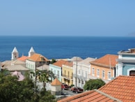 Colorful colonial-style buildings with red-tiled roofs are nestled along a coastline, with a deep blue ocean stretching into the horizon under a clear sky. Lush greenery and palm trees add vibrancy to the scene, and two white steeples are prominently featured among the buildings.