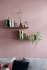 green plant on brown wooden shelf