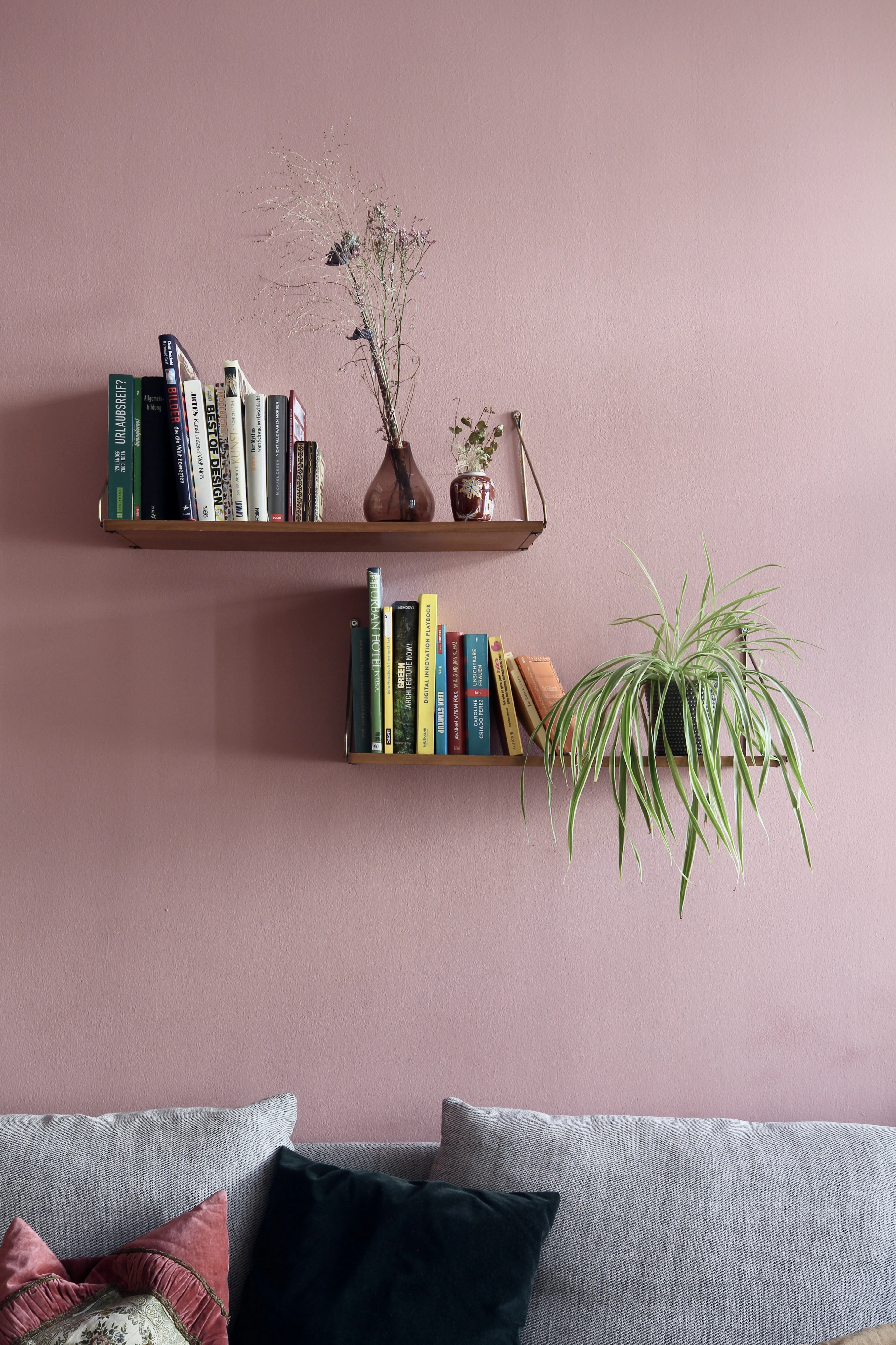 Plant on a wooden floating shelf