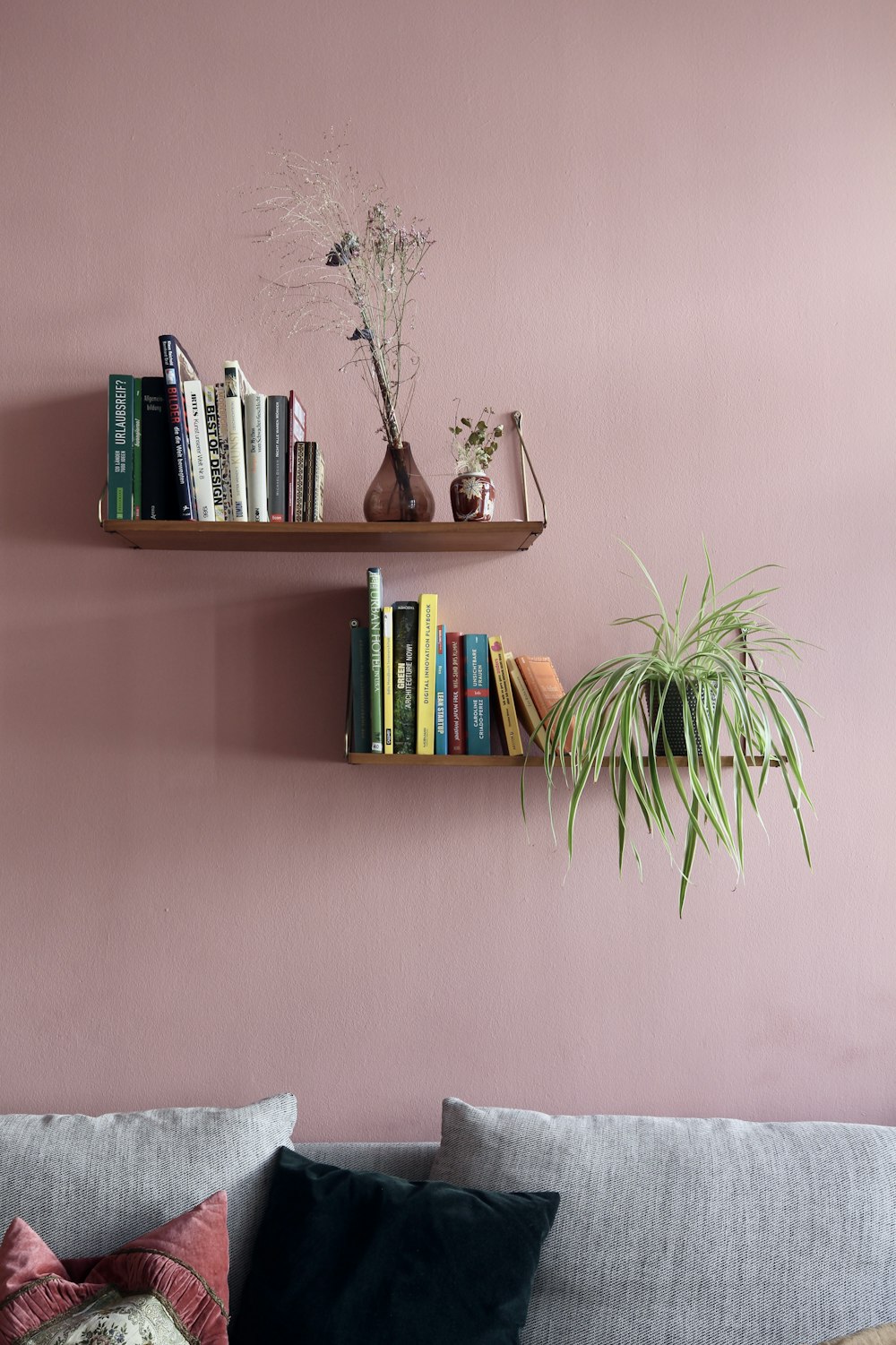 green plant on brown wooden shelf