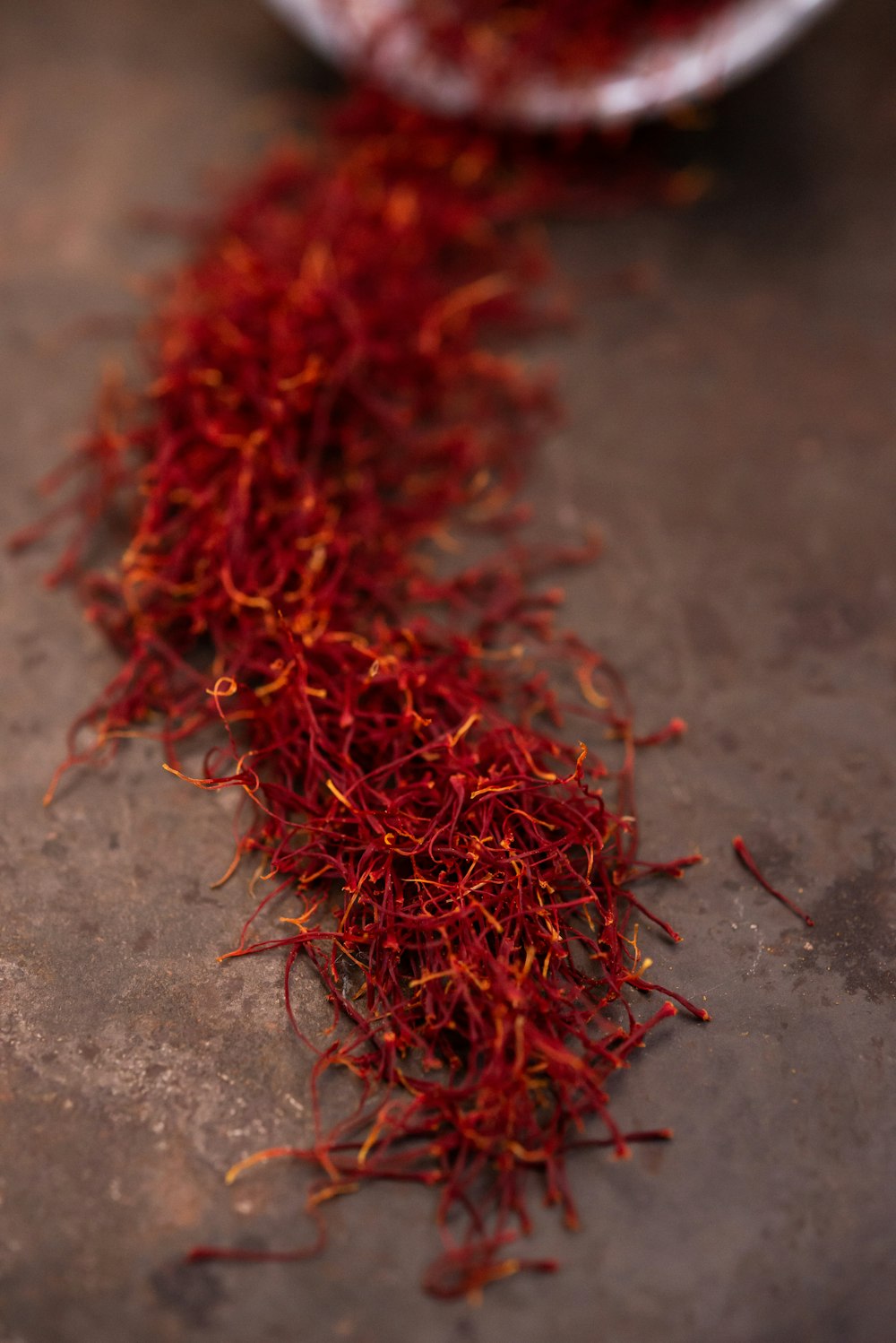 pelaje rojo y marrón sobre suelo de hormigón gris