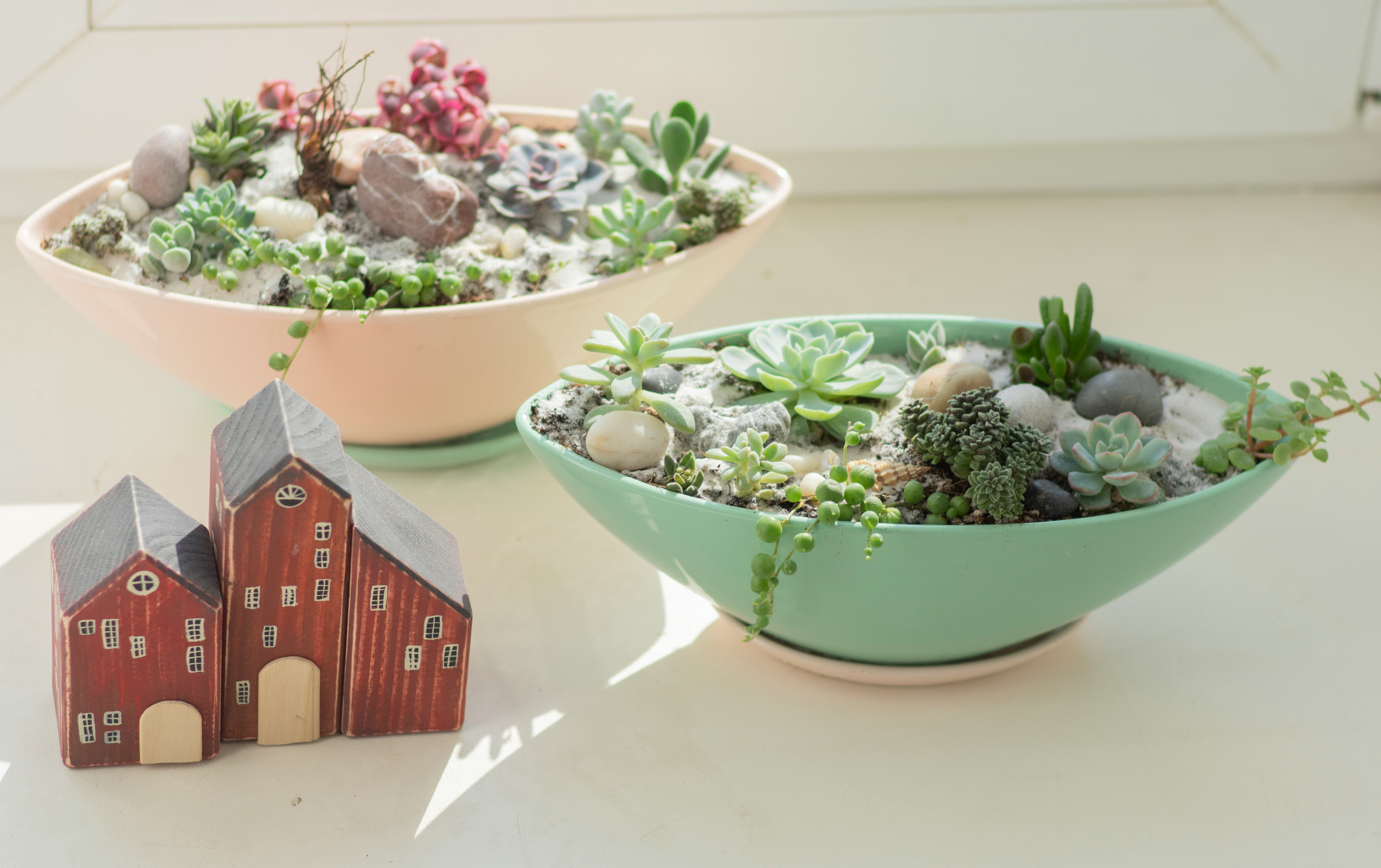 green and white ceramic bowl with green and white plant