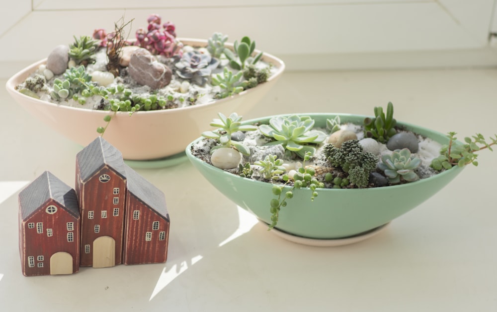 green and white ceramic bowl with green and white plant