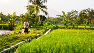 man and woman walking on green grass field during daytime